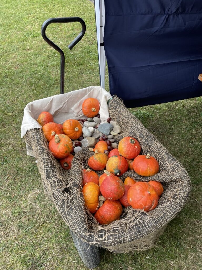(c) Kerstin Matuschek Orange Kürbisse in Leiterwagen